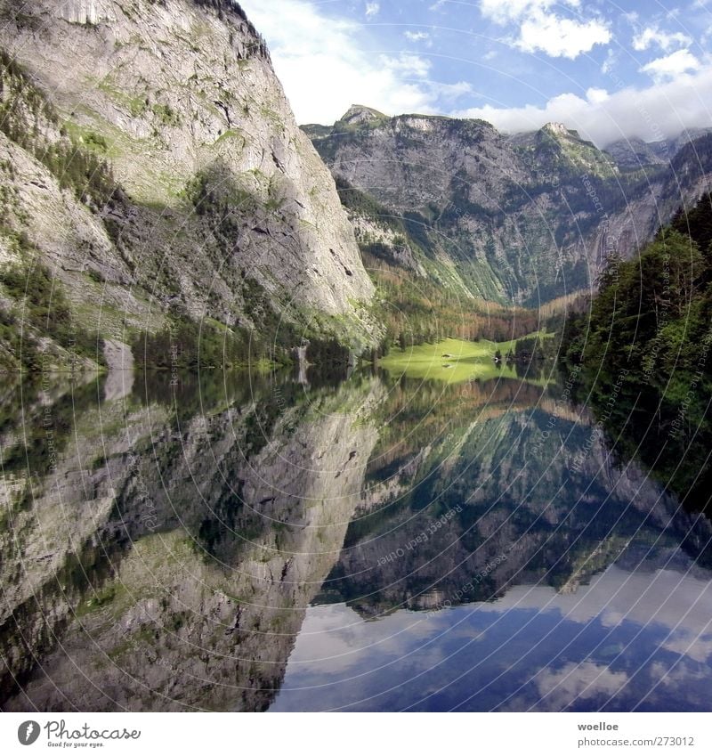 Mirror Mirror... Mountain Environment Nature Landscape Water Sky Beautiful weather Rock Alps Röthbach Lakeside Lake Obersee Lake Königssee Berchtesgaden