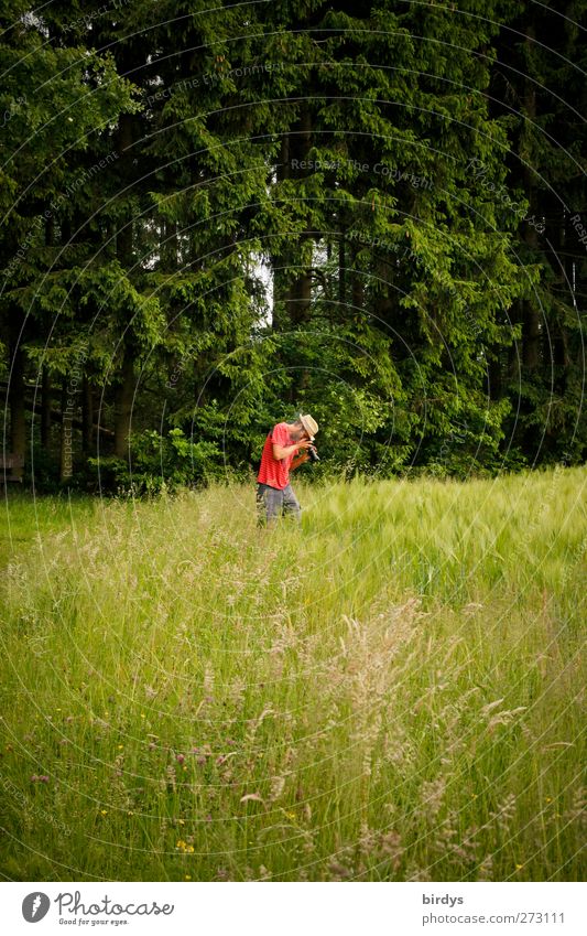 Forest and meadow photographer Young man Youth (Young adults) Body 1 Human being 18 - 30 years Adults Nature Landscape Spring Summer Tree Meadow Natural Joy