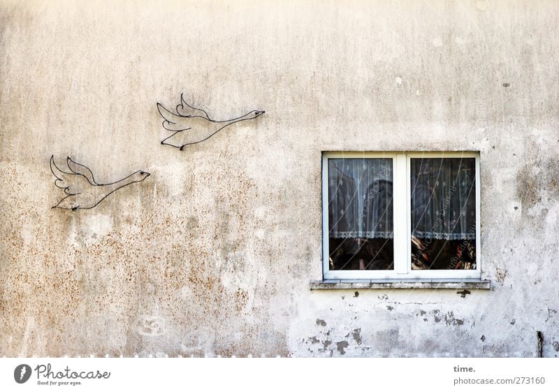 Hiddensee. You can't stop travelers. Art Work of art House (Residential Structure) Manmade structures Building Wall (barrier) Wall (building) Facade Window