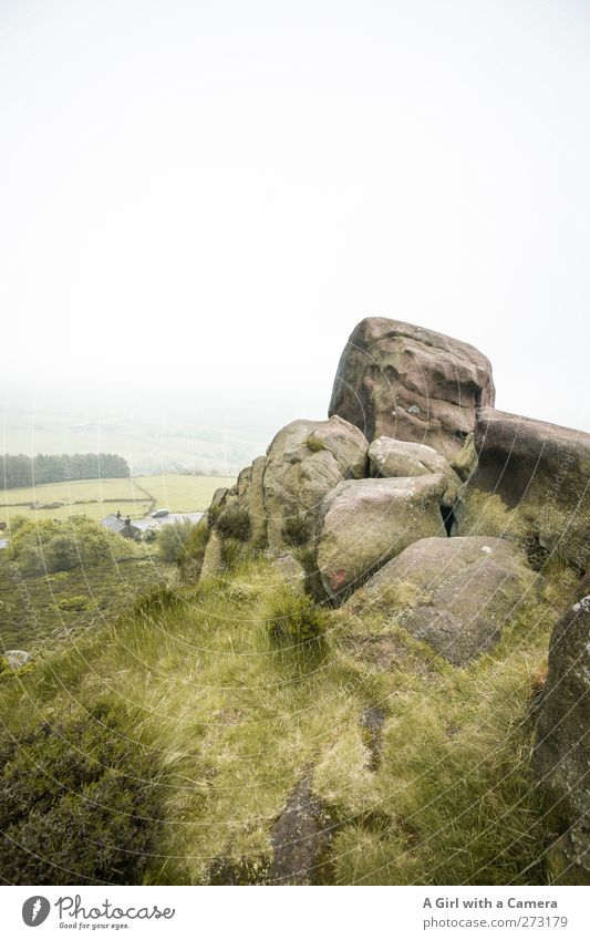 in the midst of things Environment Nature Landscape Plant Spring Climate Bad weather Fog Rain Field Hill Rock Authentic Exceptional Far-off places Gigantic