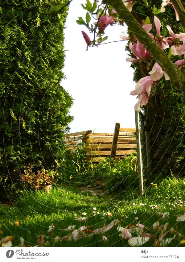 garden gate Hedge Tree Meadow Archway Garden door Gate