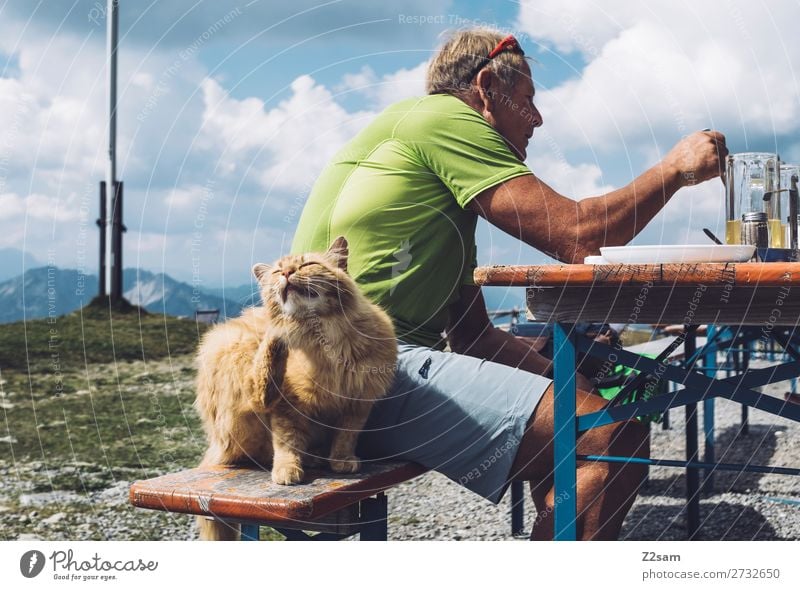 Cat sitting next to eating man in the alpine hut Leisure and hobbies Mountain Hiking Male senior Man 60 years and older Senior citizen Nature Landscape Sky