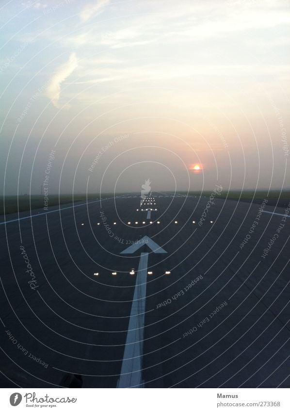 Cleared for Takeoff Earth Air Sky Clouds Horizon Sun Sunrise Sunset Sunlight Fog Airport Aviation Airplane Airfield Runway Airplane landing Airplane takeoff