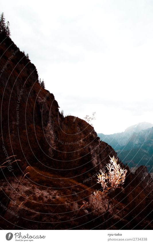 Way up Nature Landscape Plant Autumn Grass Bushes Hill Rock Mountain Free Dry Contentment Serene Calm Protruding White Exceptional Slope Steep Colour photo