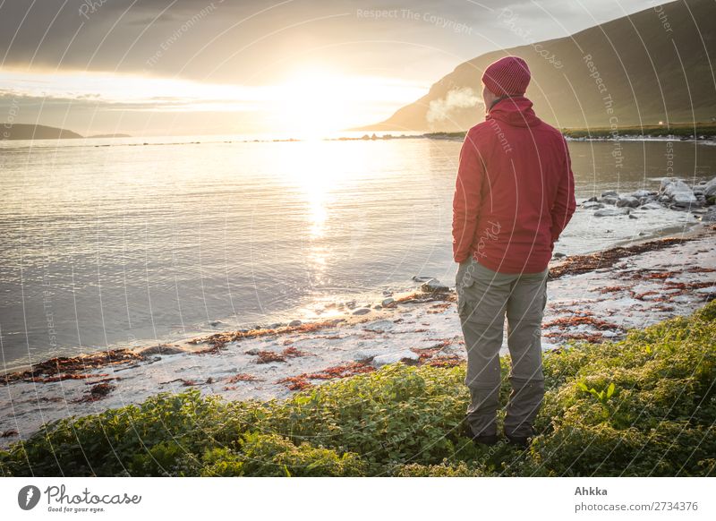 Closing time - Midnight sun Harmonious Well-being Contentment Senses Relaxation Calm Young man Youth (Young adults) Nature Sun Sunrise Sunset Beautiful weather