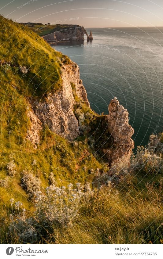 downwards Vacation & Travel Trip Far-off places Summer Summer vacation Ocean Nature Landscape Sky Horizon Beautiful weather Grass Bushes Rock Coast Bay Cliff