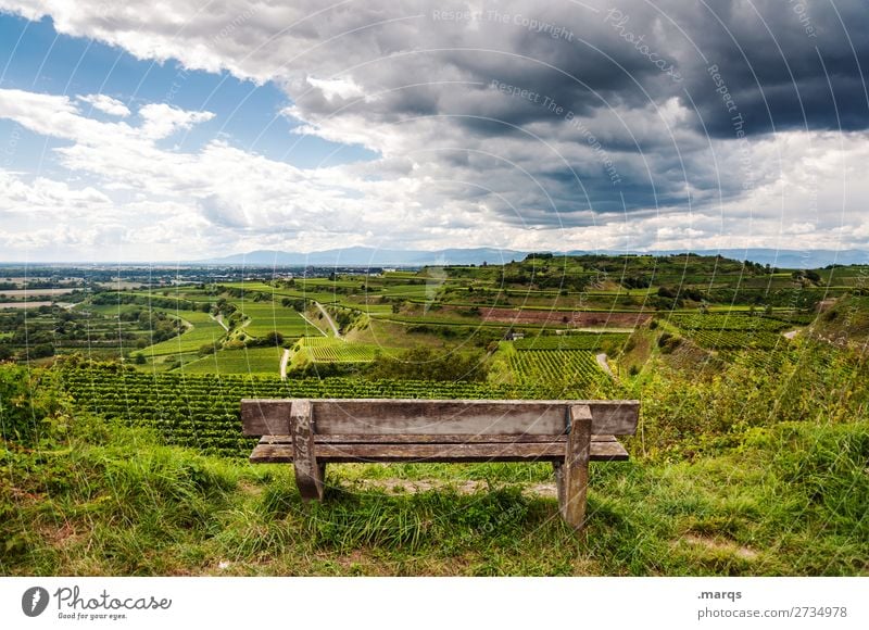 Kaiserstuhl Landscape Summer Beautiful weather Vine Hill Terraced field Bench Relaxation Moody Nature Vantage point Break Colour photo Exterior shot Deserted