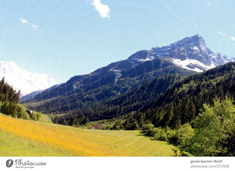 Mountain Panorama Harmonious Well-being Contentment Relaxation Nature Landscape Cloudless sky Beautiful weather Rock Alps Peak Snowcapped peak Glacier Blue