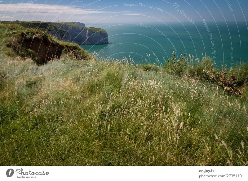 grassland Vacation & Travel Trip Far-off places Summer Summer vacation Ocean Nature Landscape Plant Earth Horizon Beautiful weather Grass Meadow Rock Coast