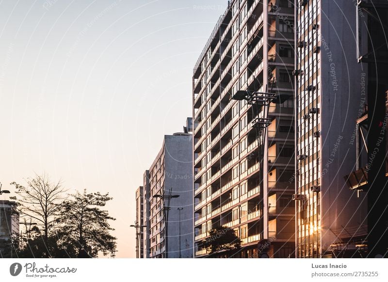 Paulista Avenue in Sao Paulo, Brazil House (Residential Structure) Office Business Environment Nature Sky Tree Leaf Downtown Skyline High-rise Building