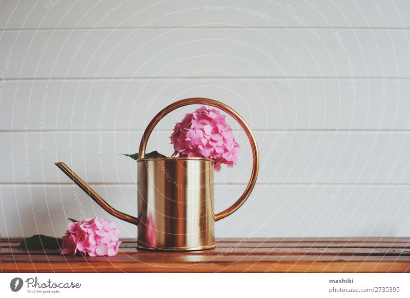 pink hydrangea flowers with watering can on wooden table Design Beautiful Leisure and hobbies Summer Garden Decoration Table Nature Plant Flower Bushes Leaf