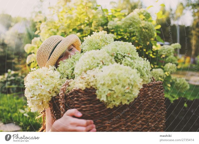 happy romantic kid girl playing and picking flowers Lifestyle Joy Harmonious Leisure and hobbies Playing Summer Garden Child Gardening Environment Nature