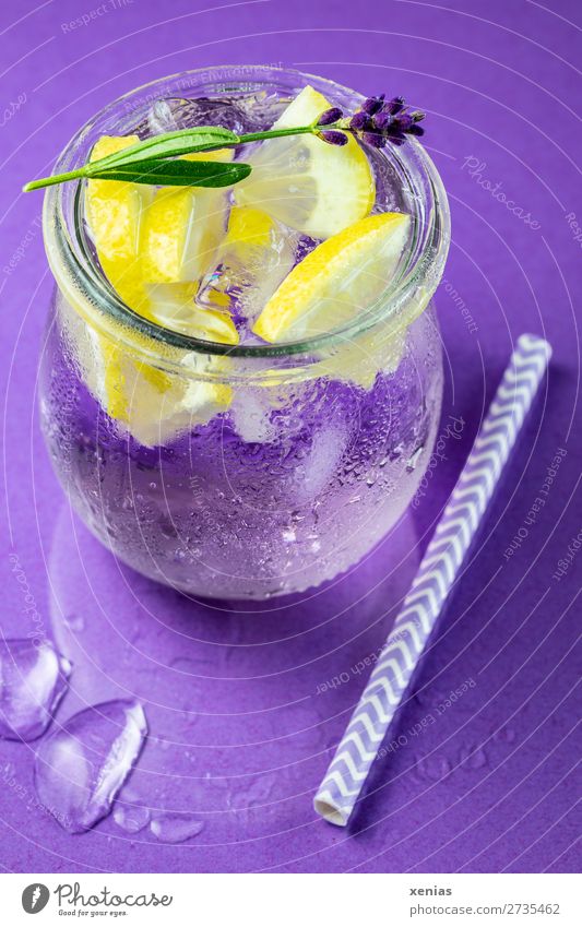 Iced lavender water with lemon, lavender and drinking straw on a violet background Beverage Lemon Cold drink Fruit Lavender Herbs and spices vitamin water