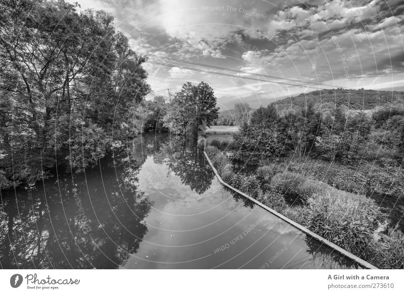 Franconian halls Environment Nature Landscape Sky Clouds Summer Beautiful weather Tree River bank Lower Franconia Old Cold Wild Calm Dam Old fashioned