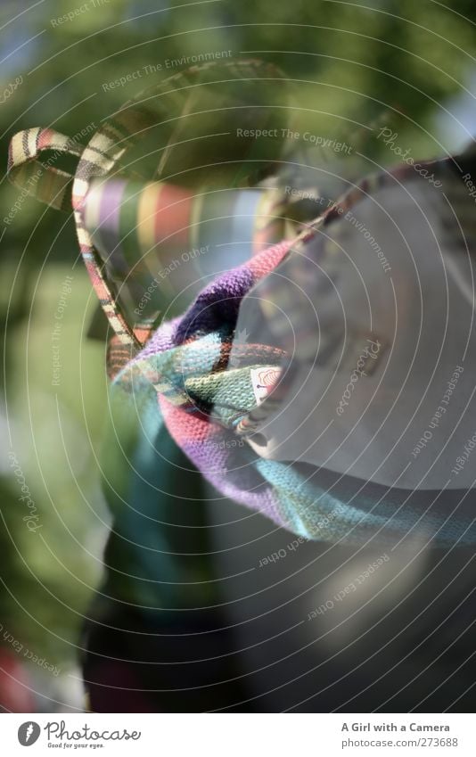 stuff Cardigan Bag Accessory Happiness Funny Crazy Feminine Multicoloured Double exposure Exterior shot Experimental Abstract Deserted Copy Space left