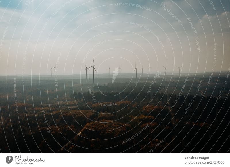 Windmills in a haze Pinwheel windmills Forest Autumn Energy eco-power Sustainability Ecological warm Haze Sky