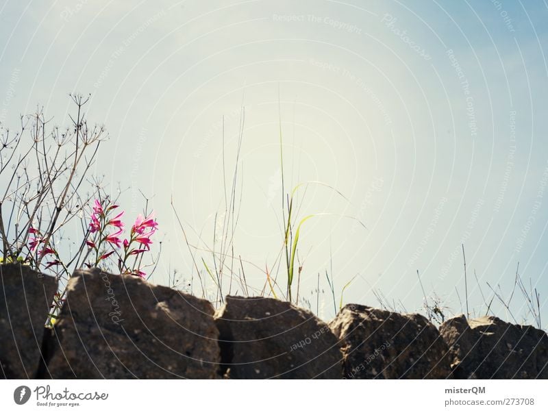 On the wall. Environment Nature Esthetic Wall (barrier) Stone Heaven Wayside Mediterranean Blue Weather Colour photo Subdued colour Exterior shot Close-up