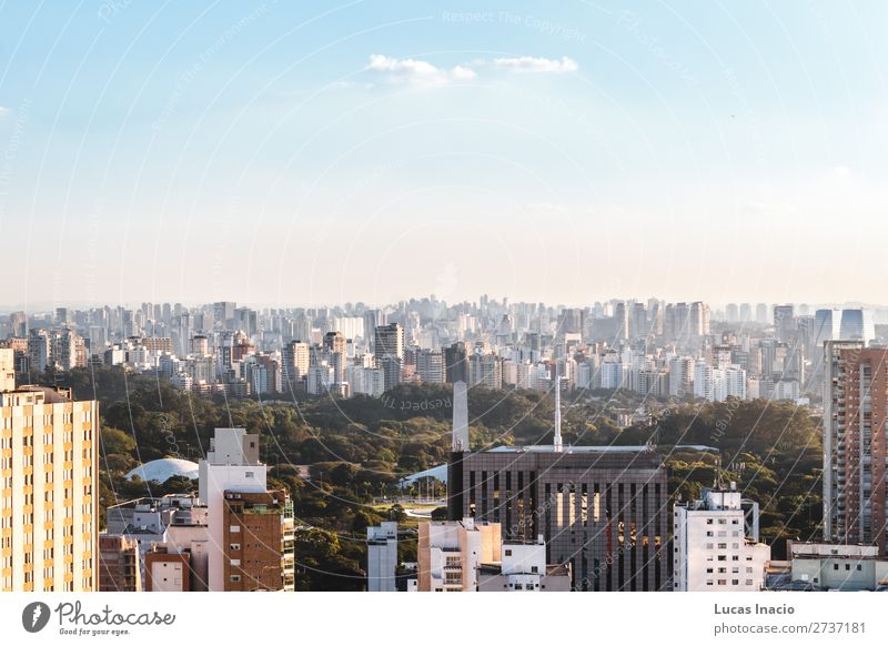 Elevated View of Ibirapuera Park in Sao Paulo, Brazil (Brasil) House (Residential Structure) Garden Office Business Environment Nature Sky Tree Grass Leaf