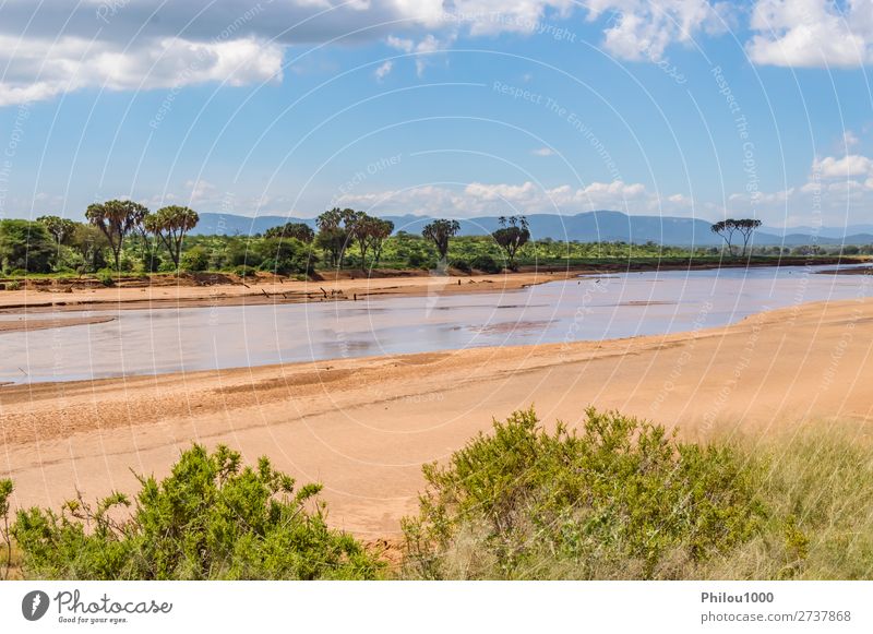 View of the Ewaso Ng'iro River in the savannah Beautiful Nature Landscape Sky Park Forest Virgin forest Green Samburu Africa background falls Kenya national