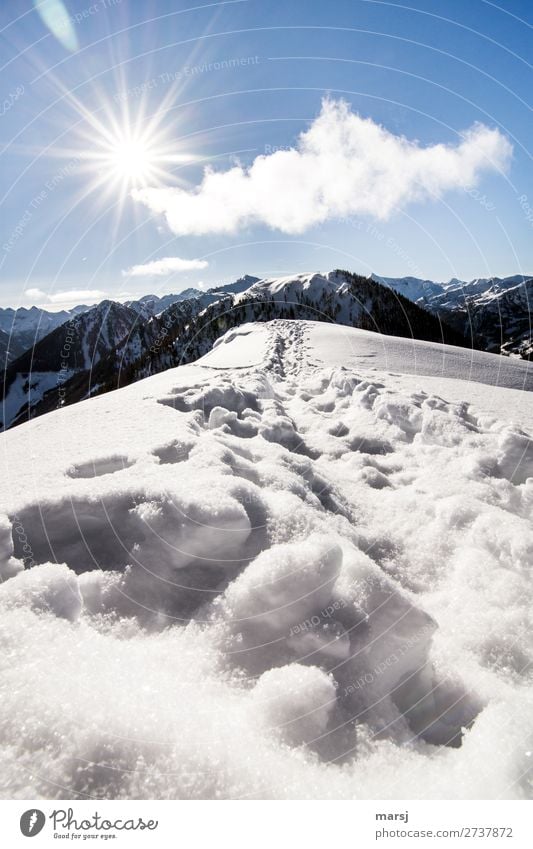 and on we go Harmonious Winter Snow Winter vacation Mountain Hiking Nature Sun Sunlight Beautiful weather Alps Peak Snowscape Exceptional Infinity Cold