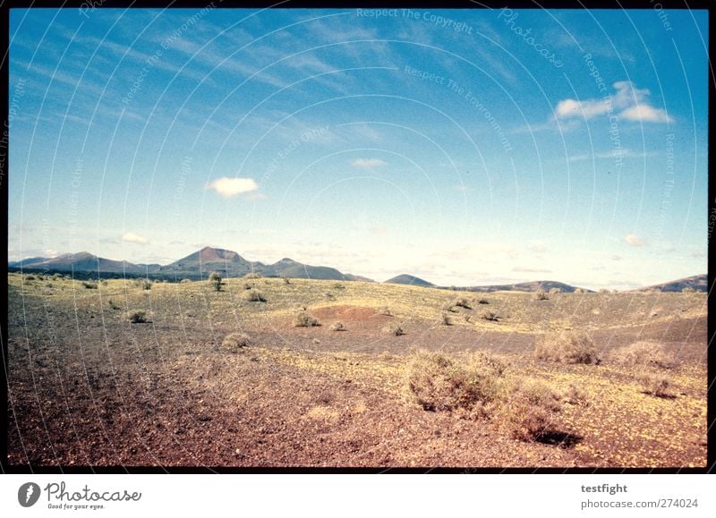 landscape Vacation & Travel Summer Sun Mountain Landscape Plant Earth Sky Clouds Beautiful weather Adventure Loneliness Lanzarote Spain Colour photo