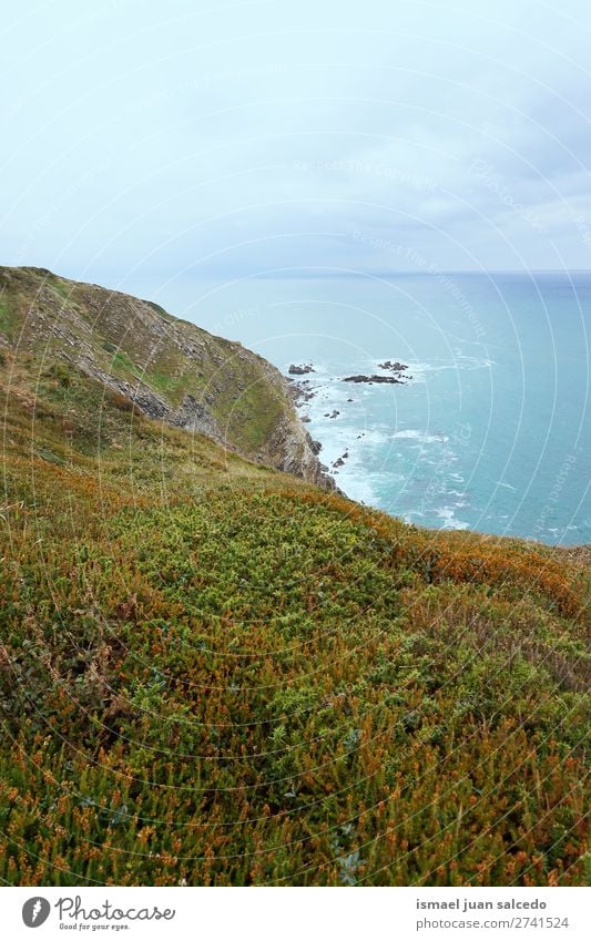 cliff in the coast Cliff Rock Ocean water Coast Beach Nature Exterior shot Vacation & Travel Destination Places Landscape Horizon background Wallpaper Calm