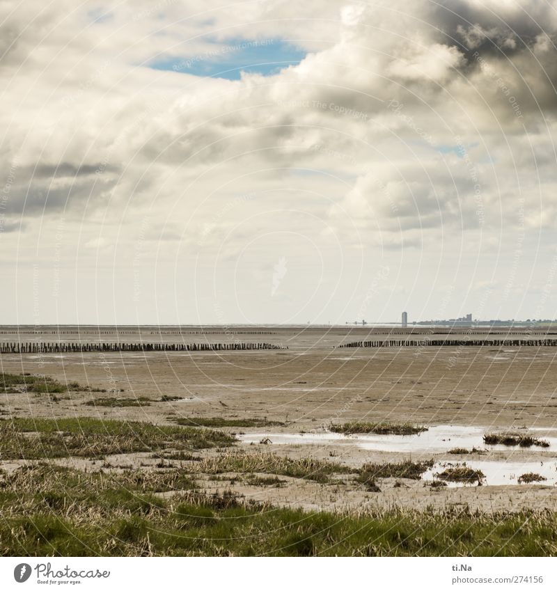 just relax and unwind Environment Nature Landscape Plant Animal Water Sky Clouds Storm clouds Spring Summer Weather Grass Coast North Sea Free Infinity Blue