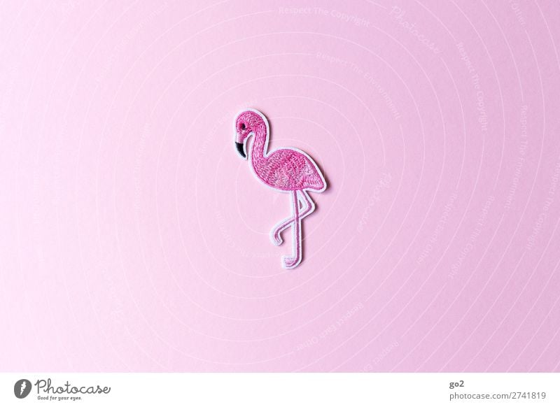 flamingo Animal Wild animal Bird Flamingo 1 Decoration Cloth Sign Esthetic Exceptional Pink Colour photo Interior shot Studio shot Close-up Deserted