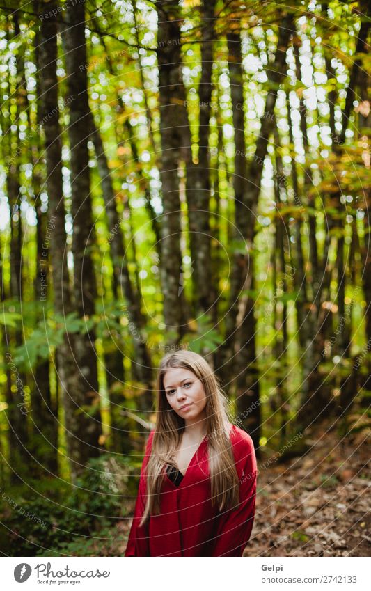 Beautiful woman in a beautiful forest Lifestyle Happy Face Freedom Human being Woman Adults Nature Autumn Wind Tree Park Forest Fashion Blonde Smiling Eroticism