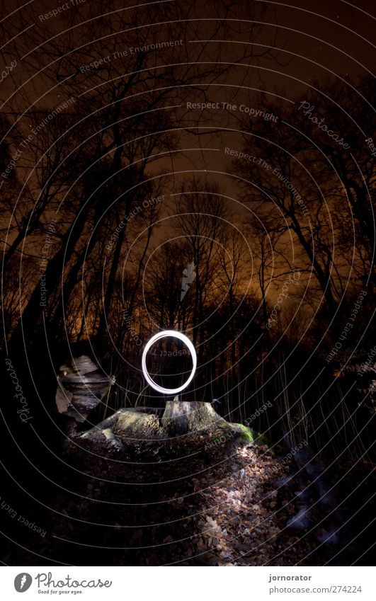 Lightscribe Art IV - Illuminated Circle Nature Orange Black White Dark Mysterious Lighting Tree stump Forest Starlit City light Incandescent Lanes & trails