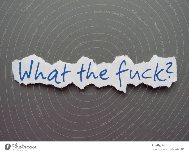 What the fuck? Characters Signs and labeling Communicate Blue Gray White Emotions Moody Curiosity Surprise Concern Disappointment Horror Dangerous Aggravation