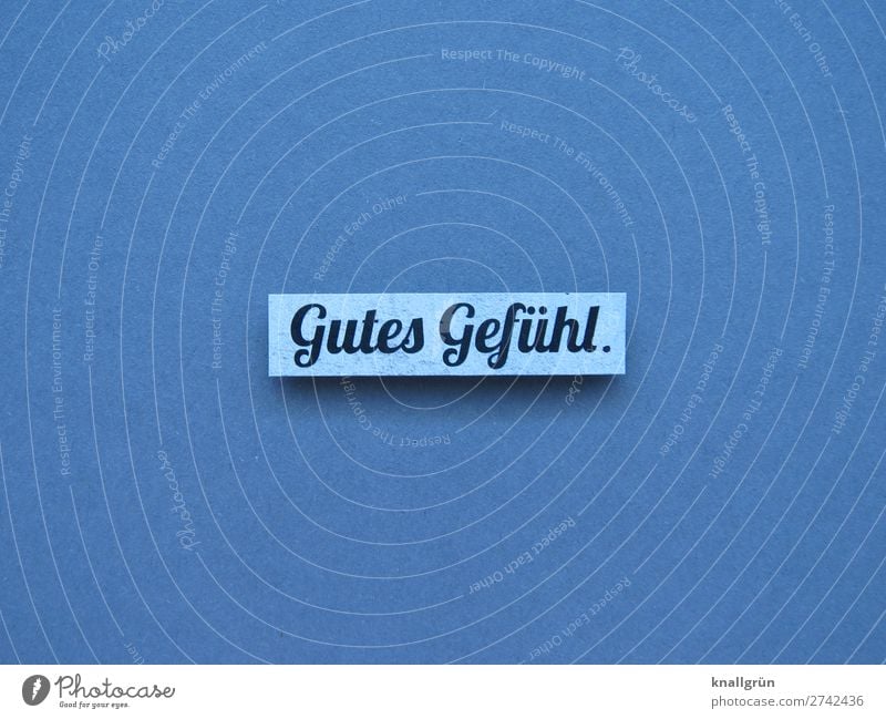 Good feeling. Emotions Human being Lifestyle sensitivities Expectation Moody Joy Contentment Joie de vivre (Vitality) Enthusiasm Happiness luck Optimism