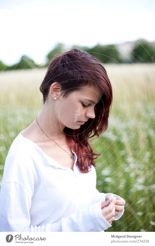 Lightness 2 | Laura Elegant Hair and hairstyles Skin Summer Sun Human being Feminine Young woman Youth (Young adults) 1 18 - 30 years Adults Nature Blossom