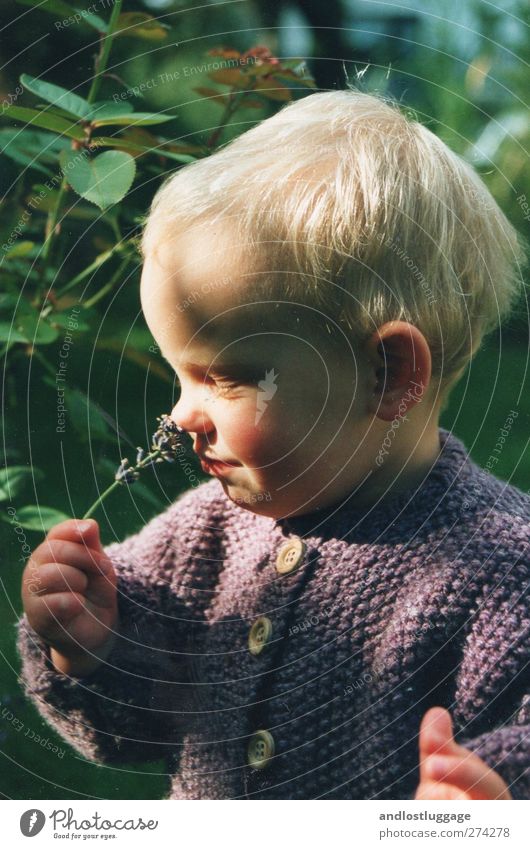 Smells good! Toddler Girl Infancy 1 - 3 years Flower Bushes Lavender Rhododendrom Blonde Short-haired Touch Blossoming Fragrance Smiling Happy Natural Cute