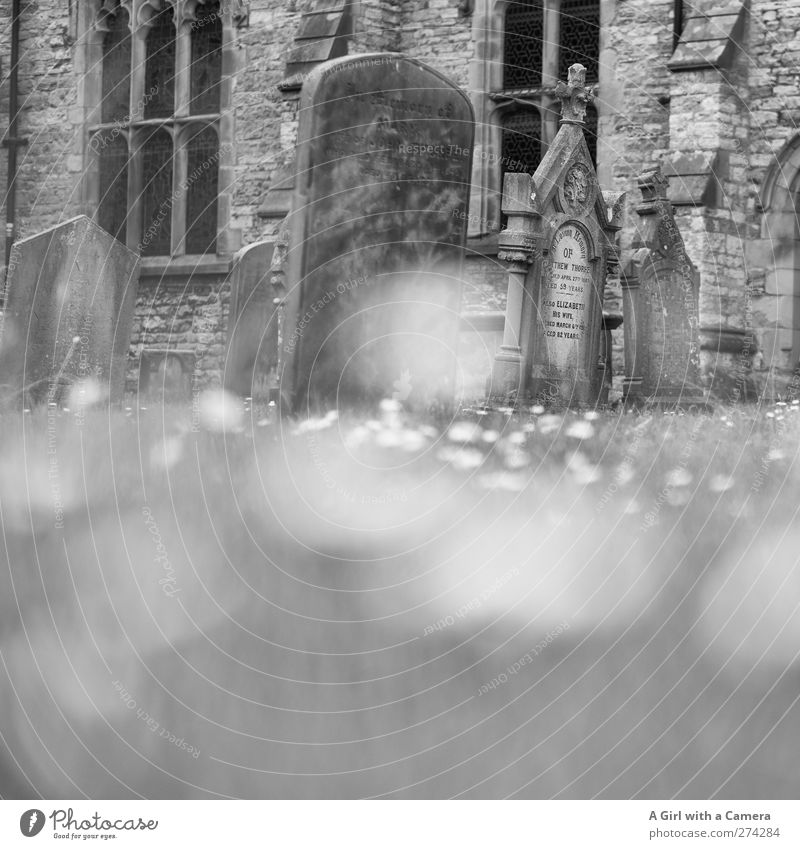 bye bye England - schnief Village Church Old Together English Sadness Calm Overgrown Stone Tombstone Flower Black & white photo Exterior shot Deserted