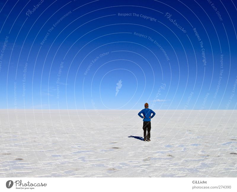 View into the front garden Human being Masculine Young man Youth (Young adults) 1 18 - 30 years Adults Nature Landscape Earth Sky Cloudless sky Drought Desert