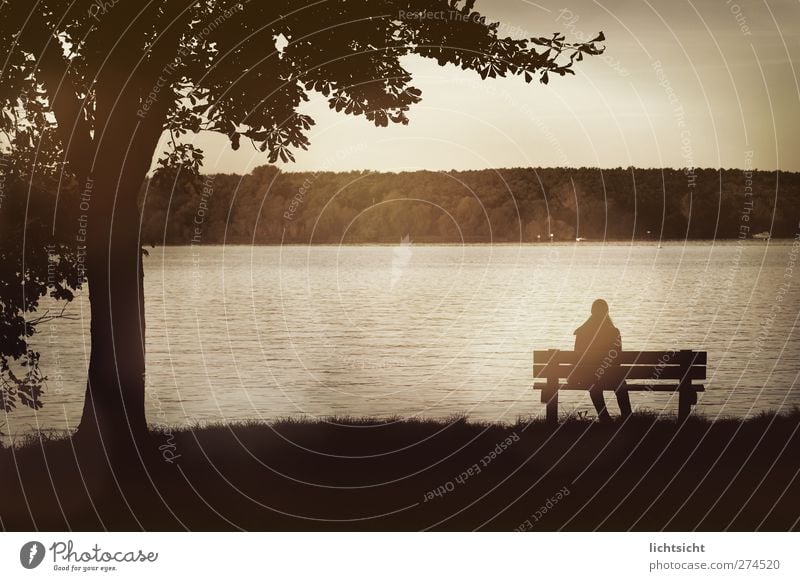 At the lake Waves Feminine Woman Adults 1 Human being Nature Landscape Water Autumn Tree Lakeside River bank Looking Sit Hiking Wait Lovesickness Wanderlust