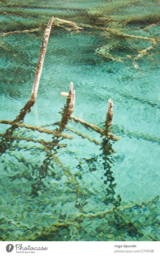 light sea breeze Environment Nature Landscape Elements Water Drops of water Lakeside China Sichuan Asia Fantastic Cold Beautiful Blue Pure Tourism