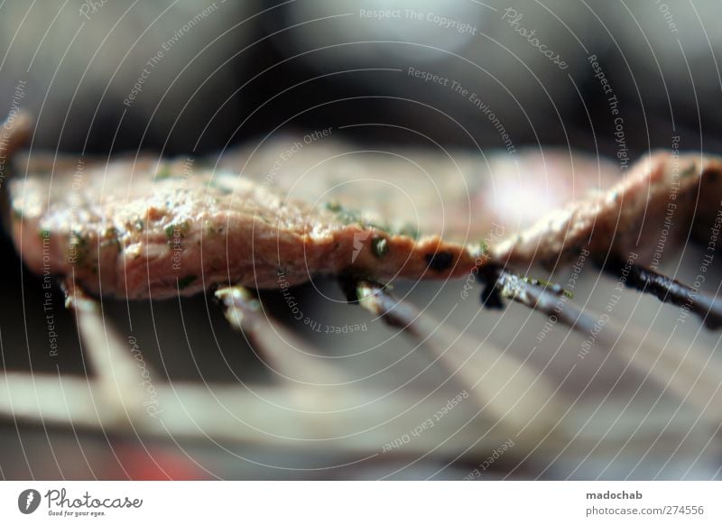 Steak or the Food Meat Nutrition Dinner Fragrance Delicious Barbecue (event) Grill Macro (Extreme close-up) Colour photo Subdued colour Exterior shot Deserted