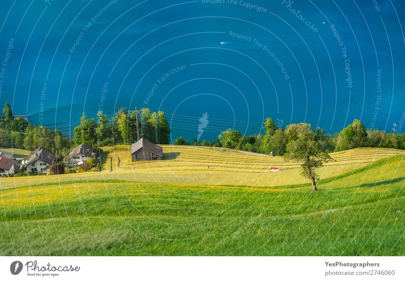 Green fields and blue lake in Swiss village Calm Vacation & Travel Summer House (Residential Structure) Nature Landscape Beautiful weather Tree Lake Village