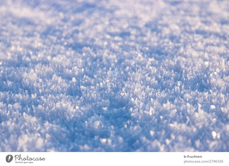 snow, snow crystals Winter Snow Ice Frost Observe Discover Glittering Free Fresh Cold Beautiful Blue Calm Snow crystal Macro (Extreme close-up) Ground level