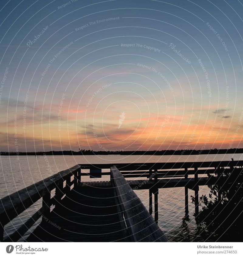 Near nature Environment Nature Landscape Plant Air Water Sky Clouds Night sky Horizon Sunrise Sunset Beautiful weather Bushes Coast Lakeside Bog Marsh