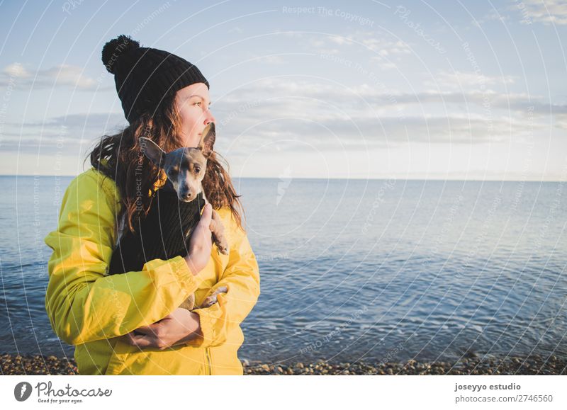 Woman with her little dog on the beach in winter Lifestyle Relaxation Trip Freedom Sun Beach Winter 30 - 45 years Adults Nature Animal Horizon Coast Jacket Coat