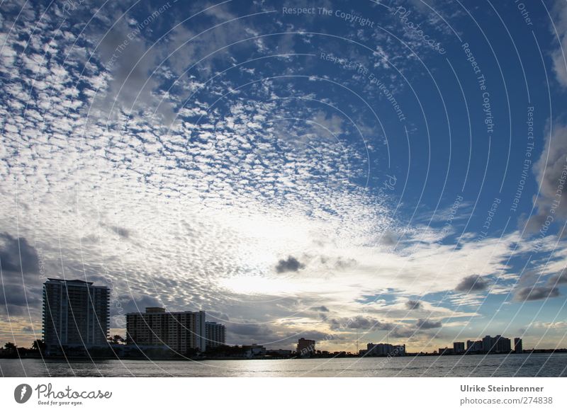 Miami Evening Skyline Vacation & Travel Tourism Sightseeing City trip Town Port City Downtown House (Residential Structure) High-rise Building Architecture