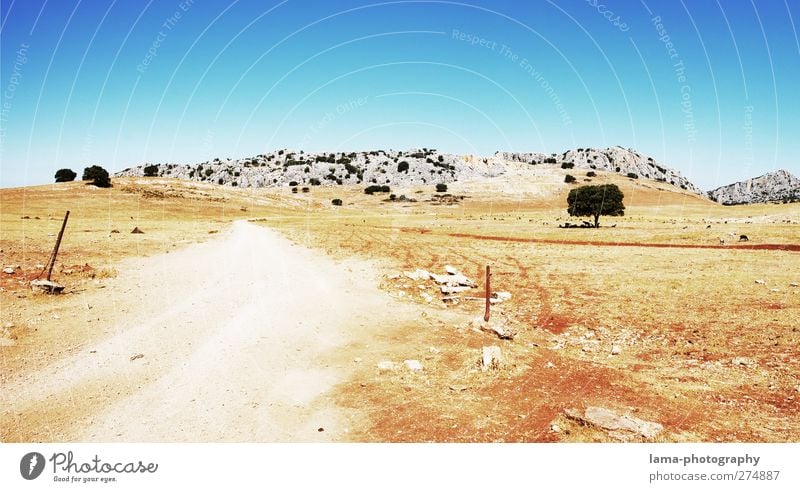 Road to nowhere [LV] Nature Landscape Sand Sun Climate Drought Tree Rock Mountain Steppe National Park Street Lanes & trails Hot Dry Colour photo Exterior shot