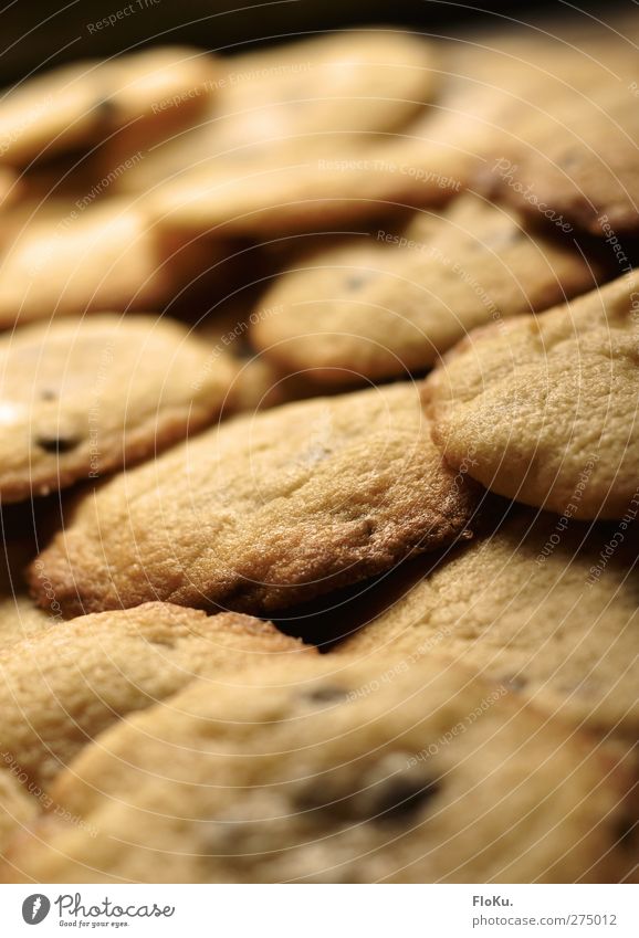 biscuit Biscuits as far as the eye can see! Food Dessert Candy Nutrition Delicious Sweet Yellow Gold Gluttony Voracious Lack of inhibition Cookie Round