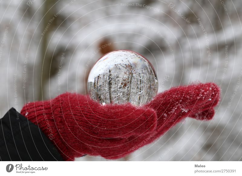 glass ball Autumn Background picture Sphere Beautiful Bright Feasts & Celebrations Christmas & Advent Colour concept Crystal structure Day Decoration