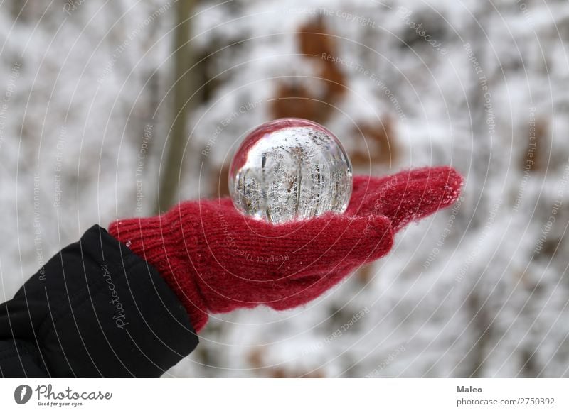 glass ball Autumn Background picture Sphere Beautiful Bright Feasts & Celebrations Christmas & Advent Colour concept Crystal Day Decoration Environment Forest