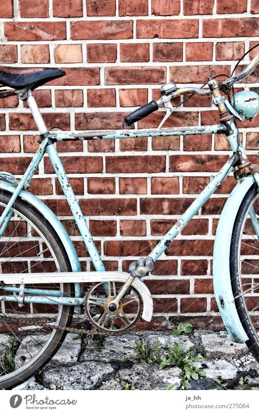 Bicycle in front of brick wall Driving Rust Varnish Flaked off Old-school Retro Vintage Restoration Repair Bell Saddle Brakes Bicycle chain Cycling Cycling tour