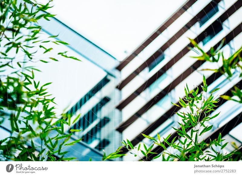 modern urban business architecture Style Garden Office Stock market Business Company Plant Tree Leaf Architecture Green Bauhaus Office building Carbon dioxide